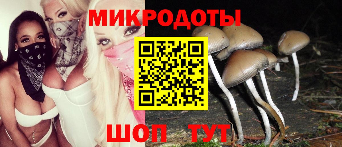 Галлюциногенные грибы мицелий Элиста